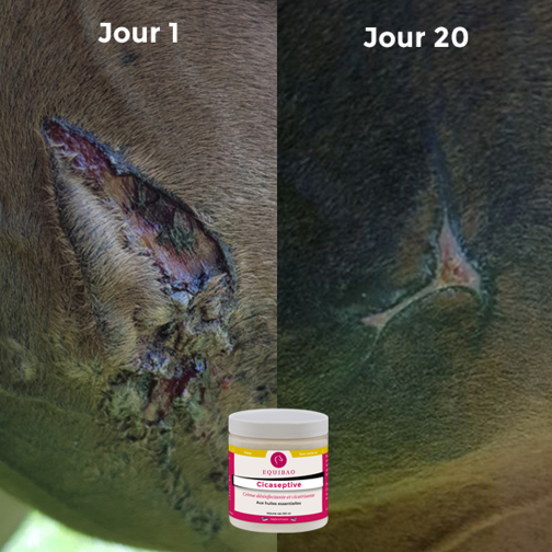 Cicaseptive - 250 ml Equibao