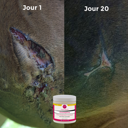 Cicaseptive - 250 ml Equibao