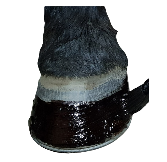 Dark Potion - 250 ml Equibao