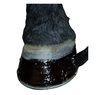 Dark Potion - 250 ml Equibao