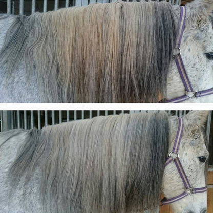 Magic Purple lotion - spray brume Equibao