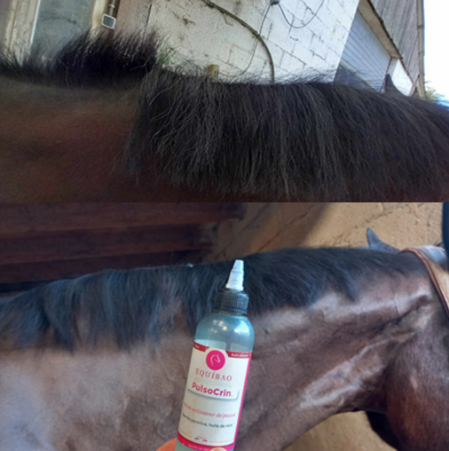 PulsoCrin Equibao