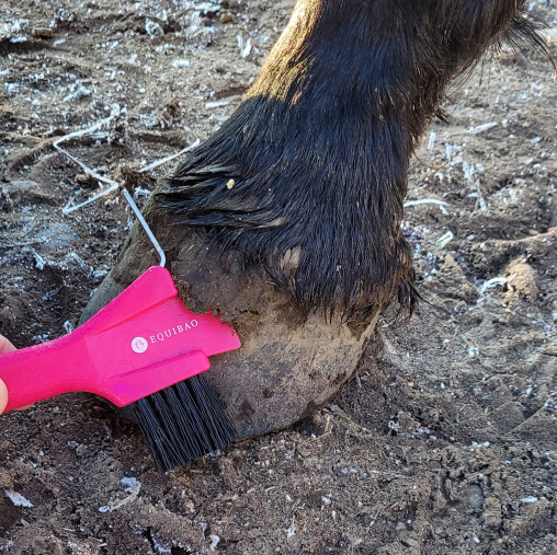 Cure-pied Pink Combo Equibao